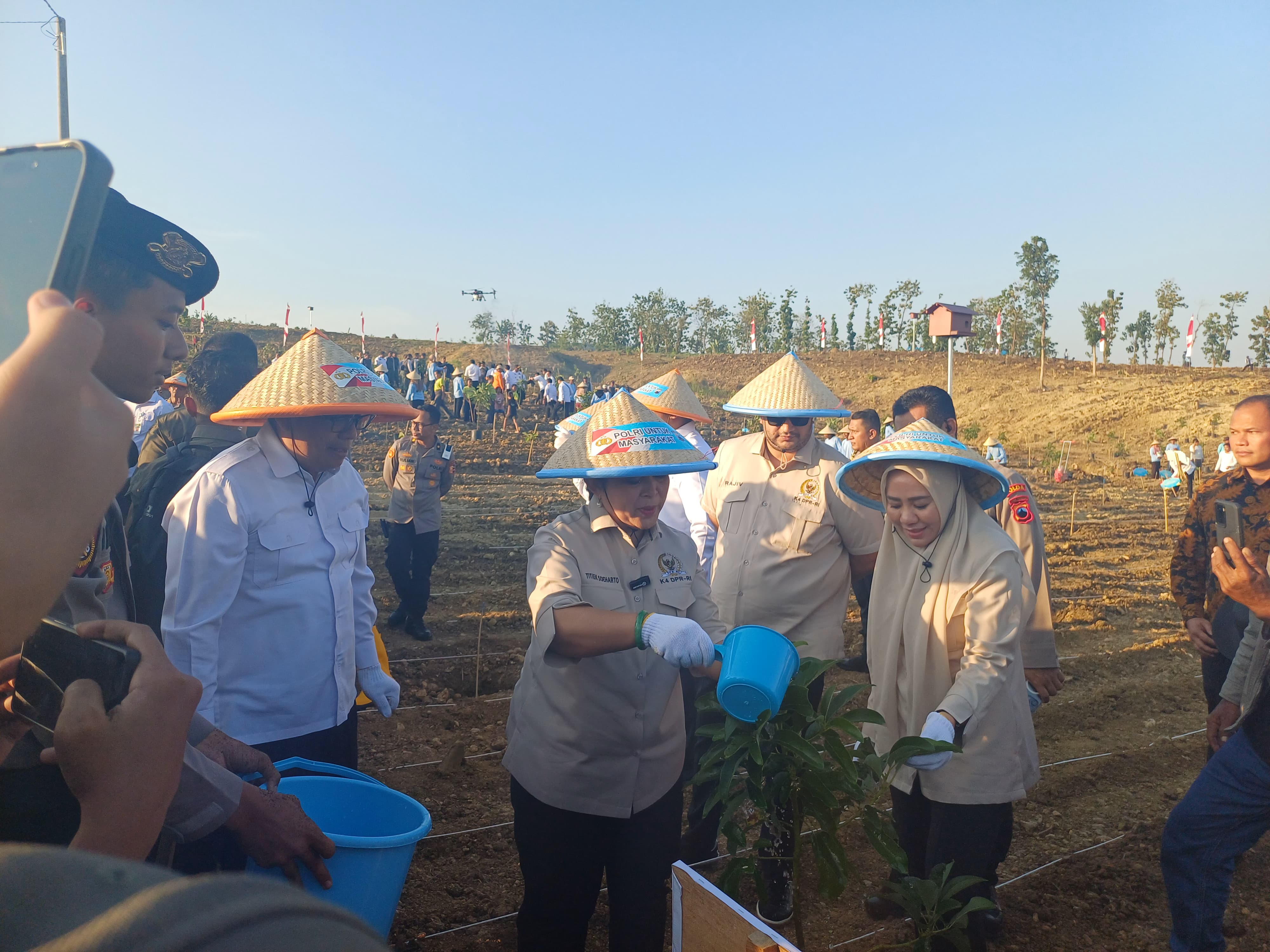 TANAM JAGUNG 3